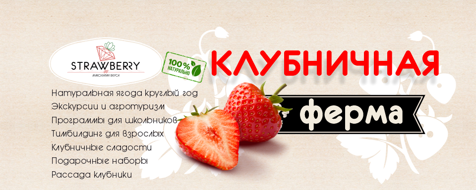 ИП Бурковская